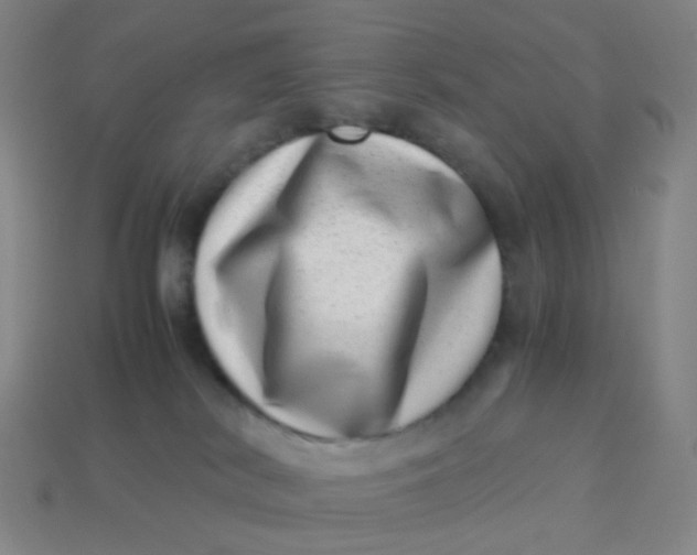 X0000113540038200910091252