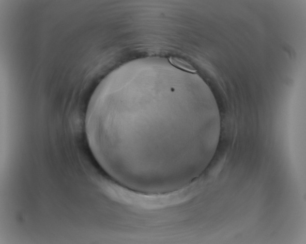 X0000113540039200910091252