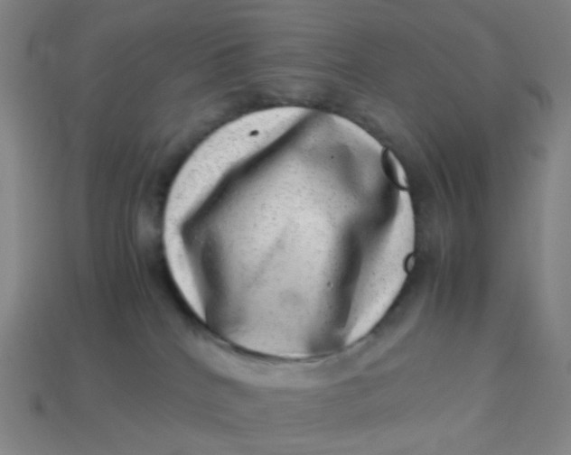 X0000113540040200910091252