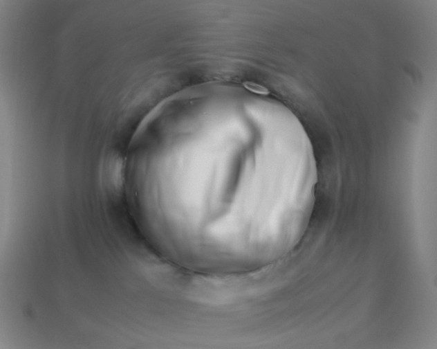 X0000113540041200910091252