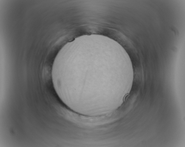X0000113540043200910091252