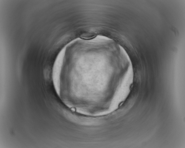 X0000113540044200910091252