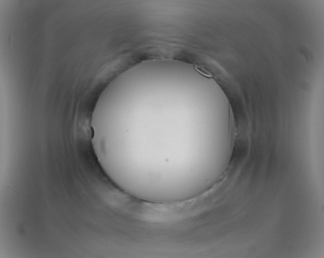 X0000113540045200910091252