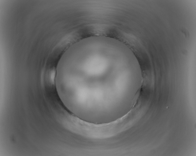 X0000113540047200910091252