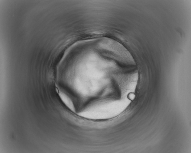 X0000113540048200910091252