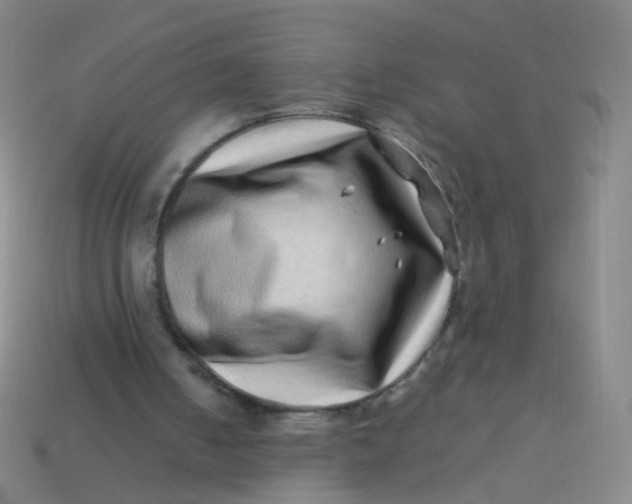 X0000113540050200910091252