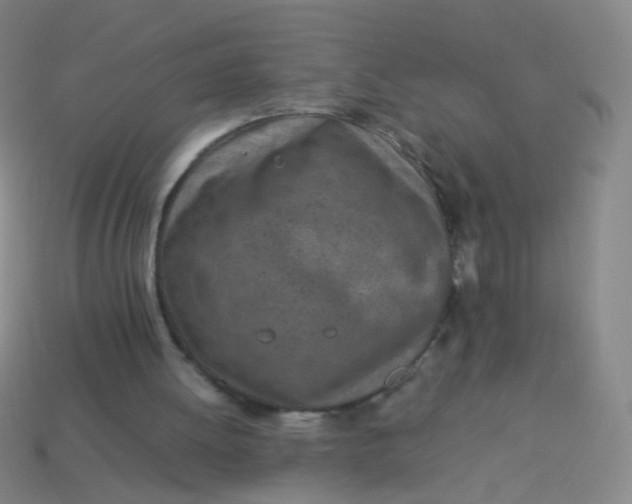 X0000113540052200910091252