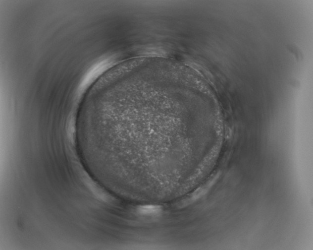 X0000113540053200910091252