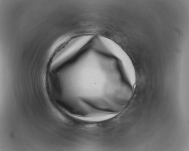 X0000113540054200910091252