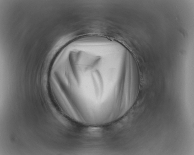 X0000113540055200910091252