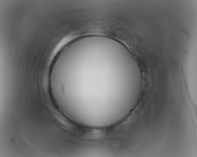 X0000113540056200910091252