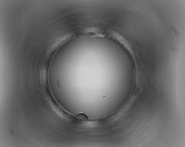 X0000113540057200910091252