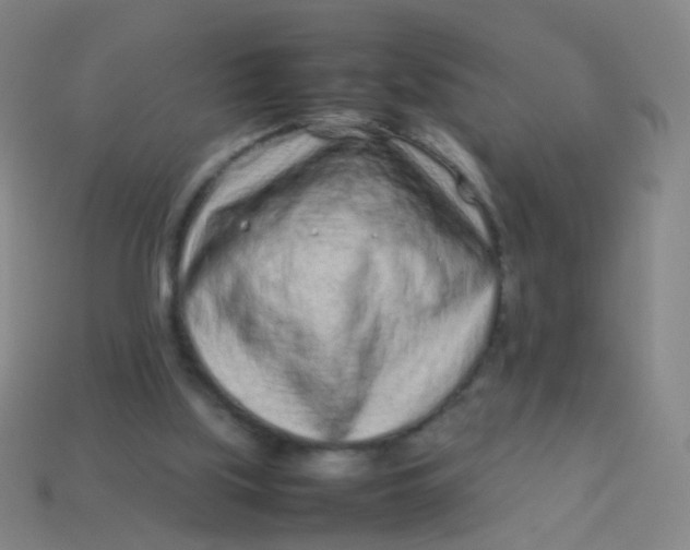 X0000113540059200910091252