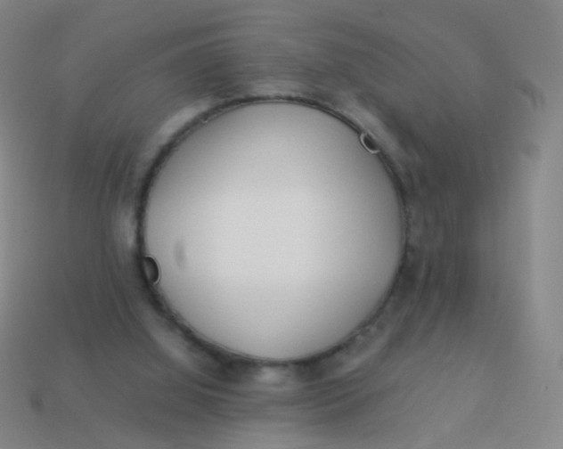 X0000113540060200910091252