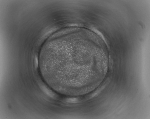 X0000113540061200910091252