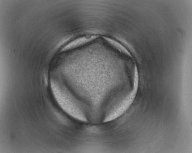 X0000113540062200910091252