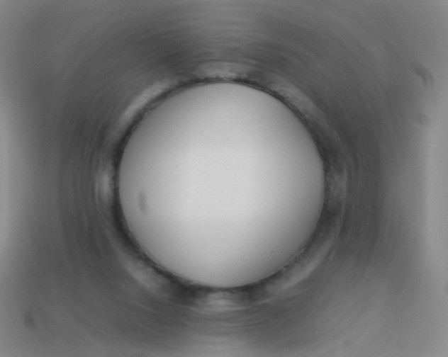 X0000113540064200910091252