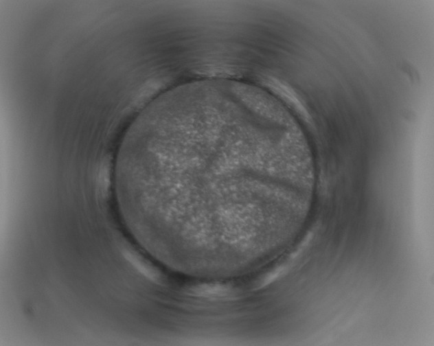 X0000113540065200910091252