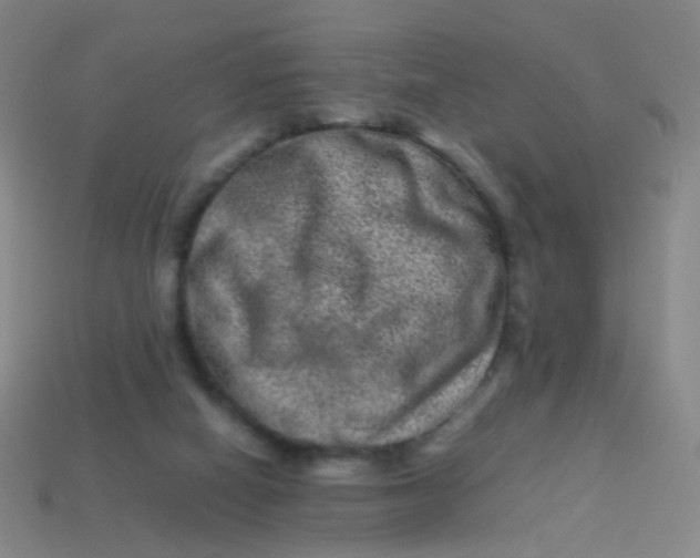 X0000113540066200910091252