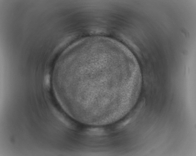 X0000113540067200910091252