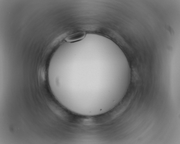 X0000113540068200910091252