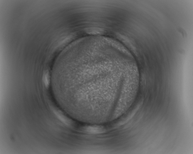 X0000113540069200910091252