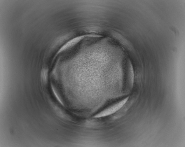 X0000113540070200910091252