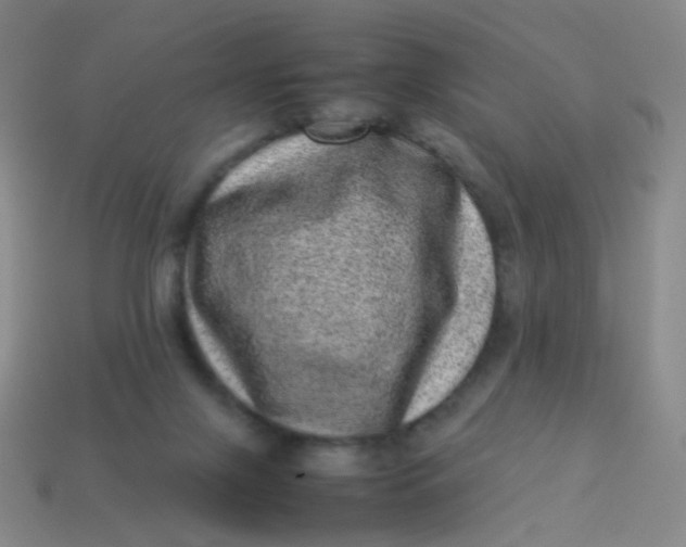 X0000113540071200910091252