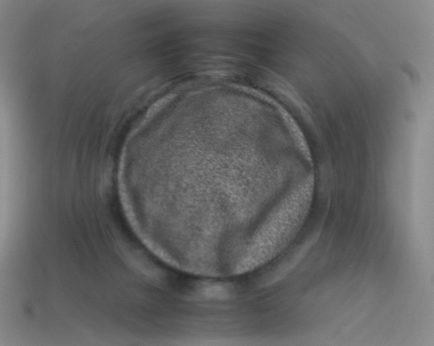 X0000113540073200910091252