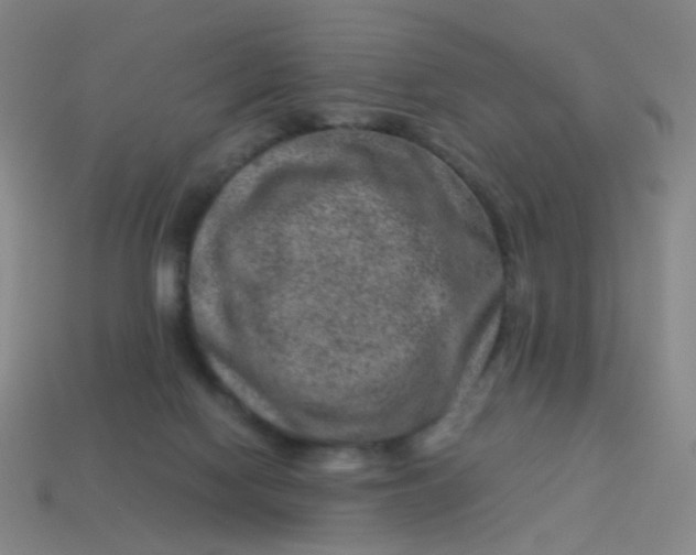 X0000113540074200910091252