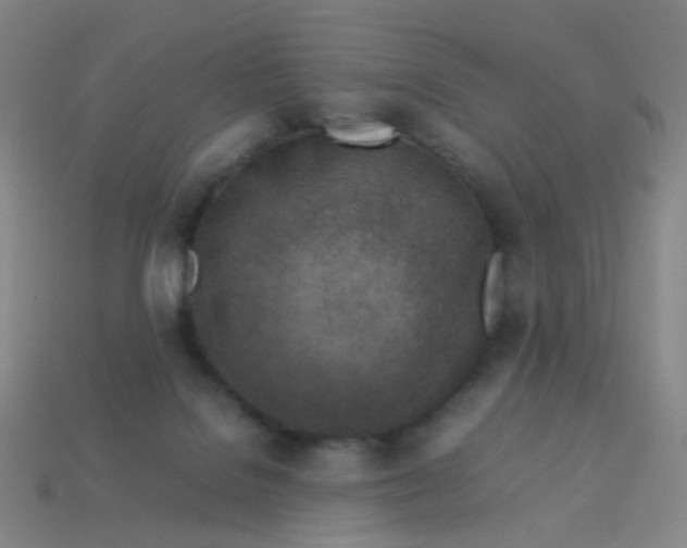 X0000113540076200910091252