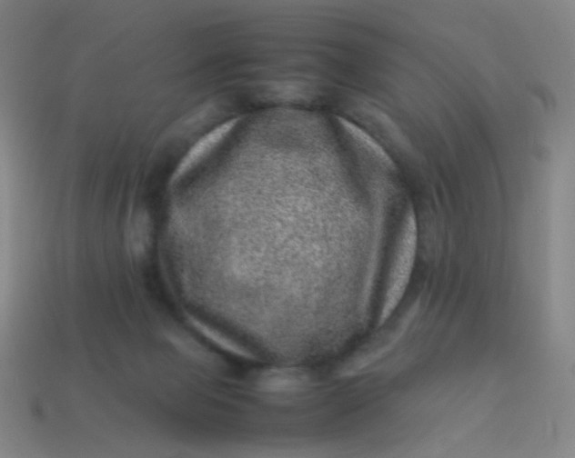 X0000113540077200910091252