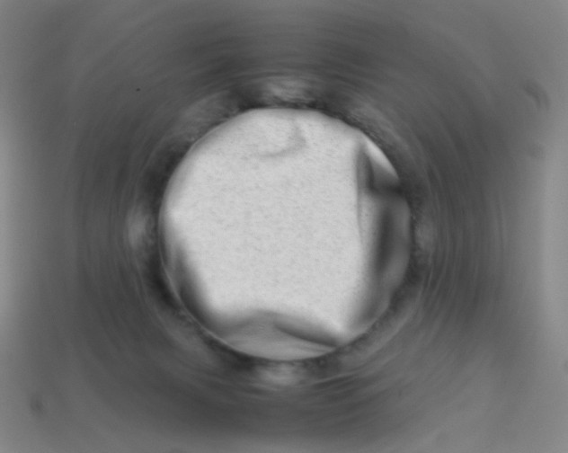 X0000113540079200910091252