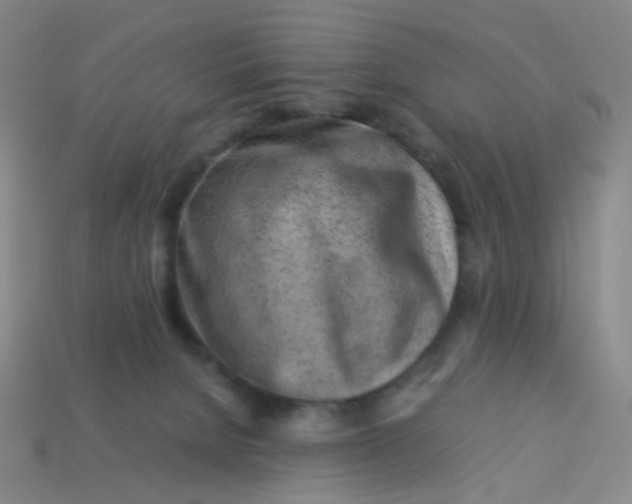 X0000113540080200910091252