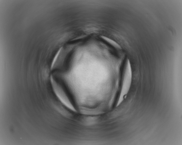 X0000113540081200910091252