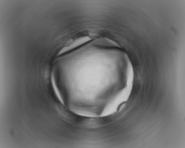 X0000113540082200910091252