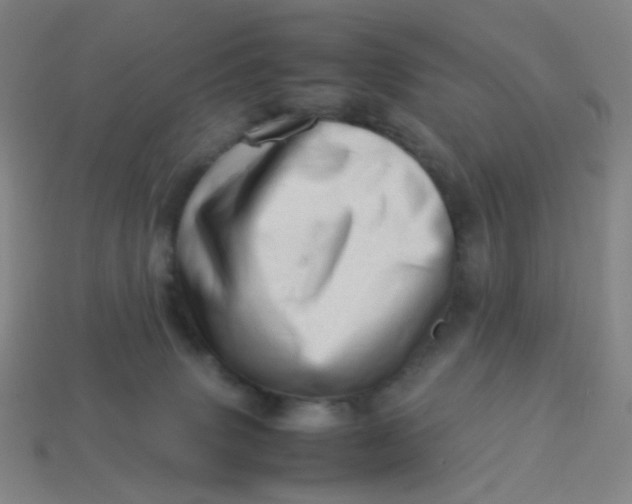 X0000113540083200910091252