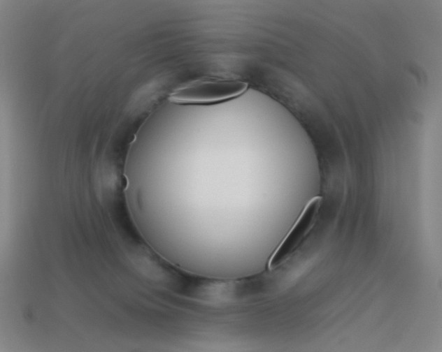 X0000113540084200910091252