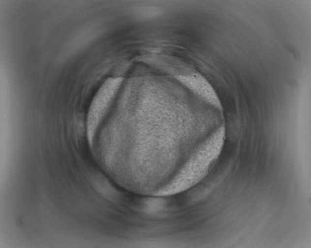 X0000113540085200910091252