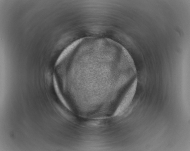 X0000113540086200910091252