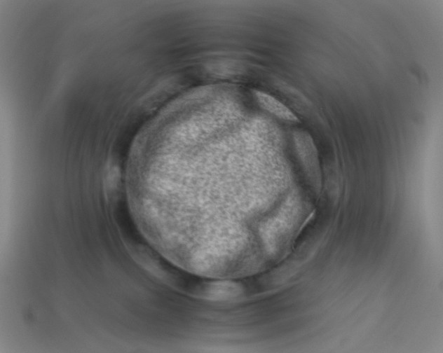 X0000113540087200910091252