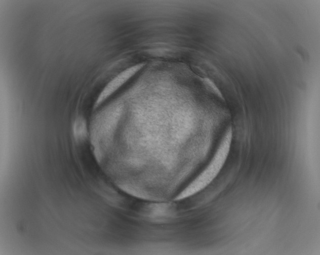 X0000113540089200910091252