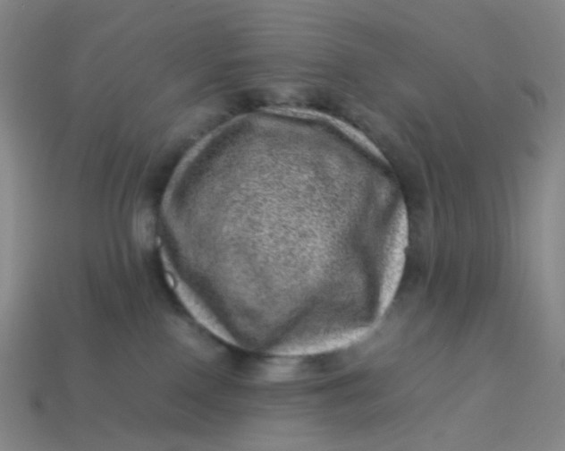 X0000113540090200910091252