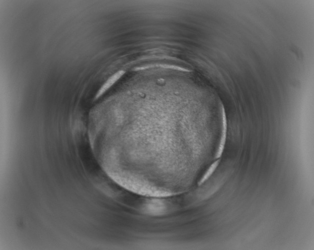 X0000113540091200910091252