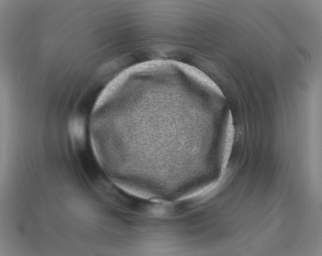 X0000113540094200910091252