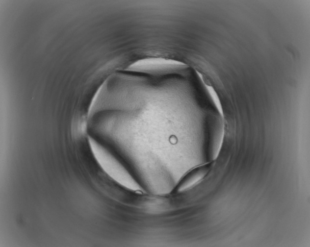 X0000113540095200910091252