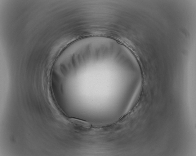 X0000113540097200910091252