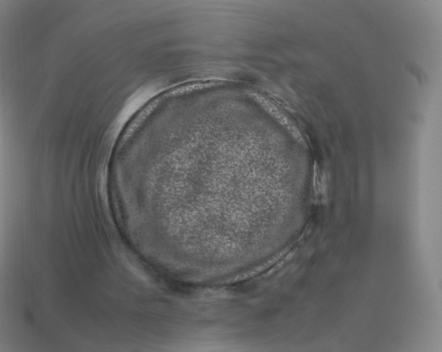 X0000113540099200910091252