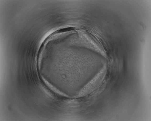 X0000113540100200910091252