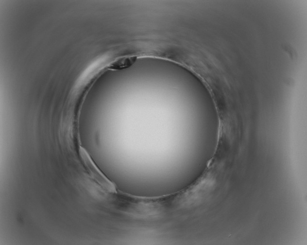 X0000113540101200910091252